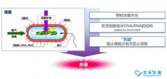 海信中央空調(diào)紫光盾殺菌模塊上市，健康技能加