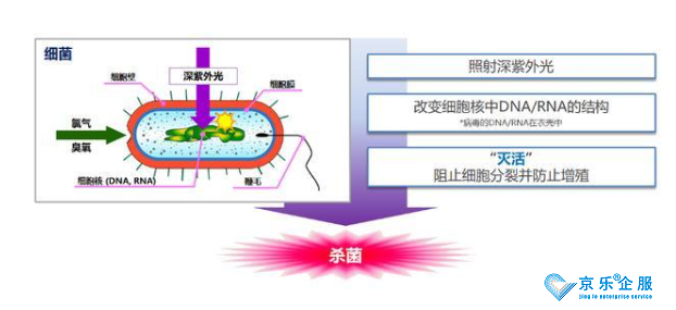 疫情下的新產(chǎn)物:海信殺菌消毒中央空調(diào)-圖2